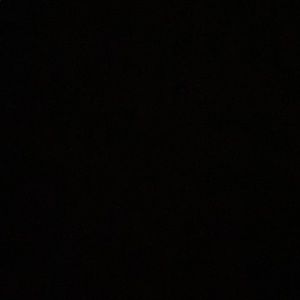 Meet your Posher, Jackson